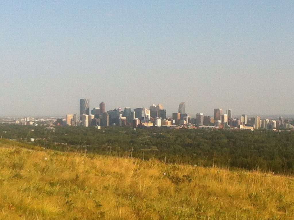 Nose Hill Park-Downtown View